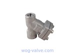 Forged steel,a182 f316l y strainer filter,bolt bonnet,1/2inch,class 800,npt threaded