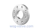 304 /316L Forged Stainless Steel Flanges Asmeb 16.5 Industrial Forged Flange