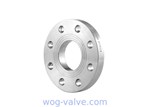 Round Forged Stainless Steel Flanges / Stainless Steel Plate Flange