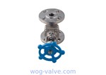 API 602 forged Integral flanged globe Valve,Reduced Bore,a105n,1inch,dn25,class 300